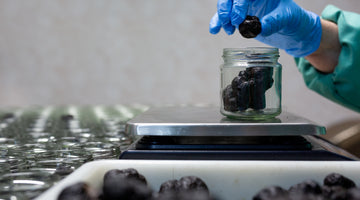 How to preserve fresh truffle