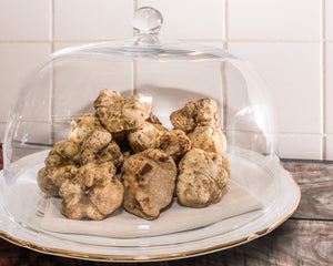 What is White truffle? A selected wild jewel