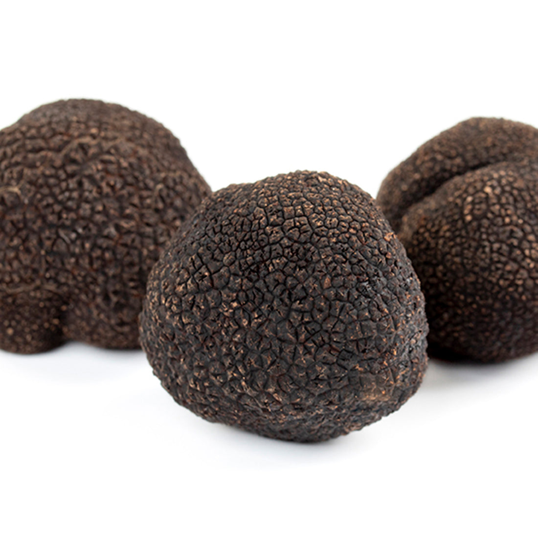 Black Truffle (Tuber Melanosporum)