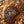 Load image into Gallery viewer, Black Truffle (Tuber Melanosporum)
