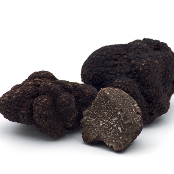 Black Truffle (Tuber Melanosporum)