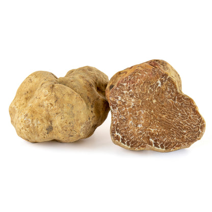 White Truffle - Tuber Magnatum