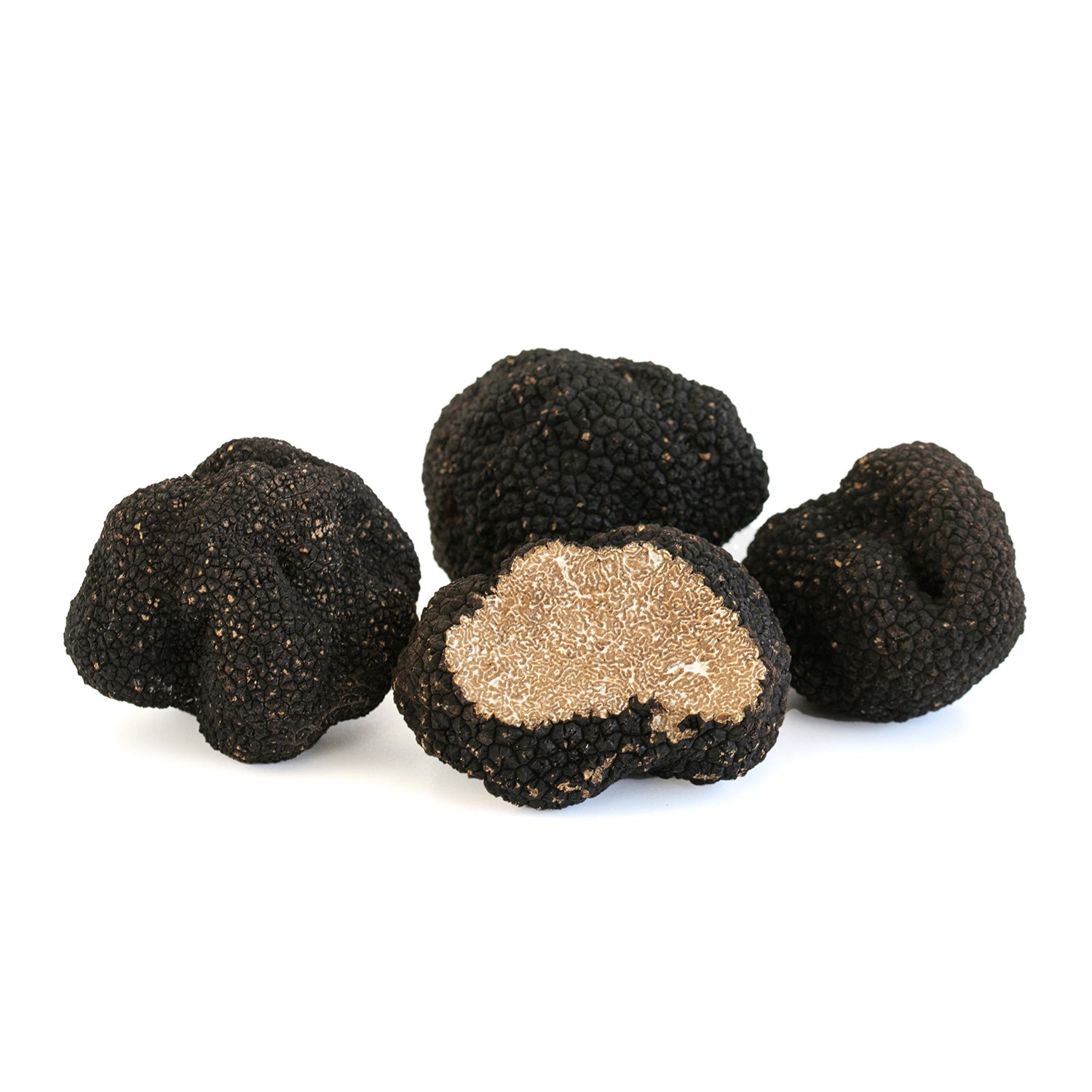 Autumn Truffle Uncinatum